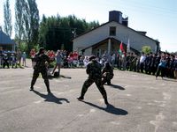 13.jpg